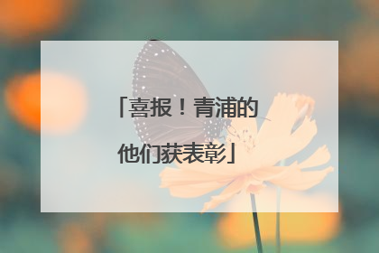 喜报！青浦的他们获表彰